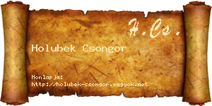 Holubek Csongor névjegykártya